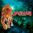 Jaguar Mist game cover